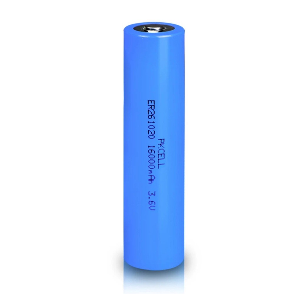 20 Pcs Double C High Drain ER261020 3.6V 16000mAh Li-SOCl2 Batteries