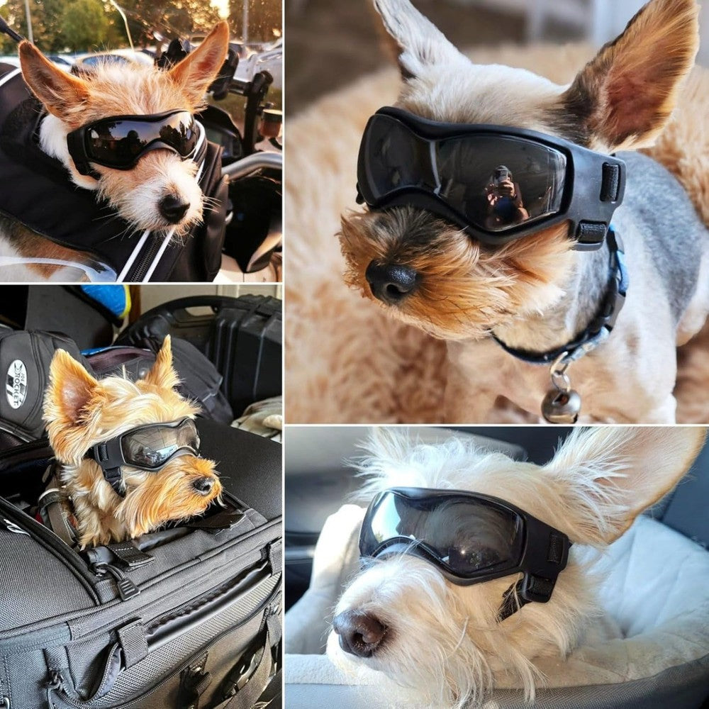 Dog Goggles Small Breeds, UV Protection Dog Glasses for Small Dogs, Adjustable