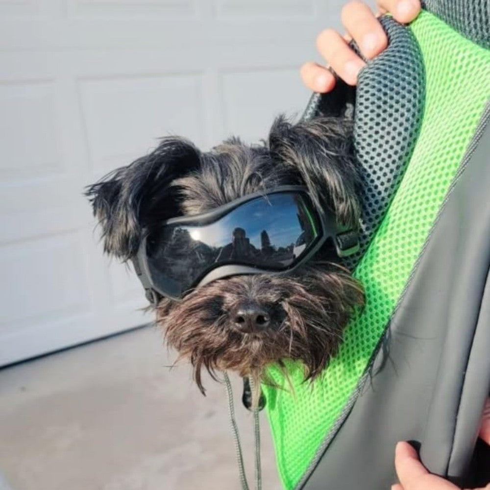 Dog Goggles Small Breeds, UV Protection Dog Glasses for Small Dogs, Adjustable