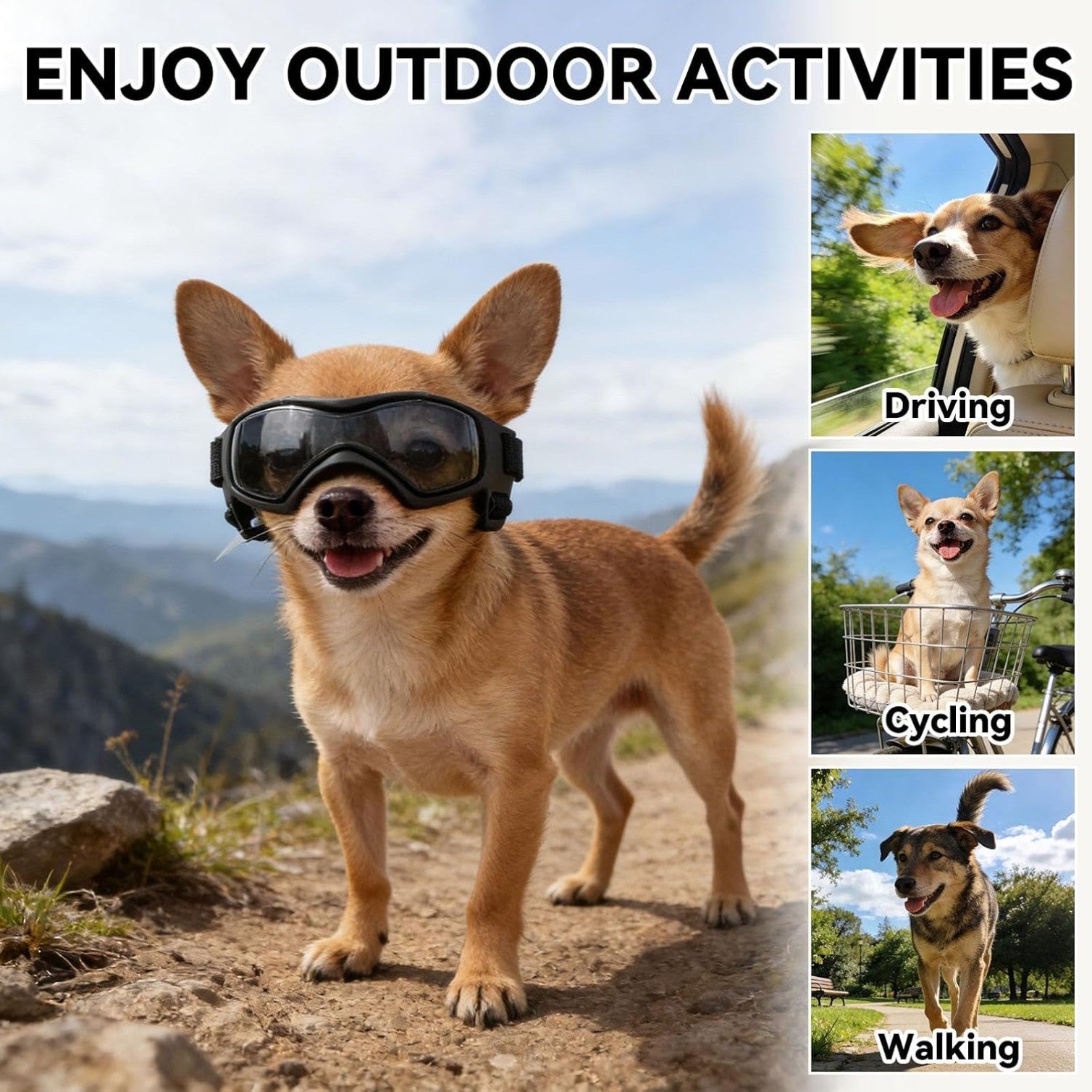 Dog Goggles Small Breeds, UV Protection Dog Glasses for Small Dogs, Adjustable